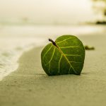 前立腺がん末期・進行期はどうなる？ 骨転移の痛みと良い対処法は？