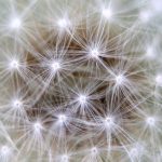 パーキンソン病の緩和ケア【緩和ケア医解説】